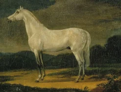 Boutiques de musées Cheval de Napoléon "le Vizir" (toiles encadrées)