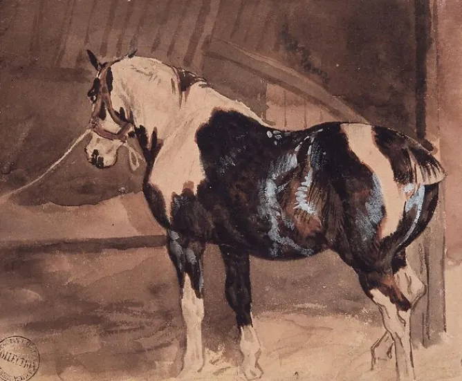 Panneaux Aluminium|Toiles Encadrées<Boutiques de musées Cheval pie au repos à l'écurie (panneaux aluminium)