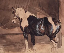 Boutiques de musées Cheval pie au repos à l'écurie (panneaux acryliques) Online