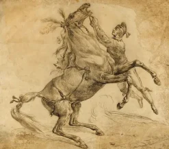 Toiles Sur Châssis|Affiches D'Art<Boutiques de musées Cheval tenu à la bride, en se cabrant (toiles sur châssis)