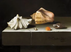 Boutiques de musées Cinq coquillages sur une tablette de pierre (panneaux acryliques) Online