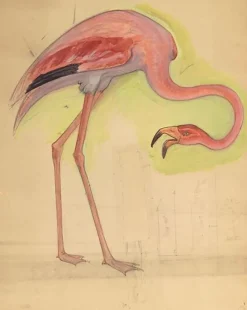 Boutiques de musées Comptoir d'Escompte : escalier d'honneur : flamant rose (panneaux aluminium) Outlet