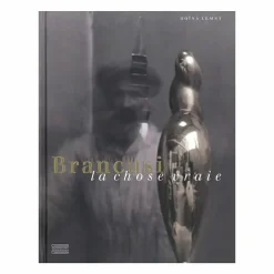 Boutiques de musées Constantin Brancusi, la chose vraie New