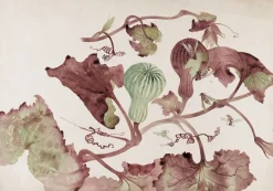 Panneaux Aluminium|Panneaux Acryliques<Boutiques de musées Courge et guêpes (panneaux aluminium)