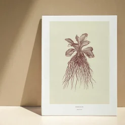Affiches Et Reproductions<Boutiques de musées Décoration murale Herbier du roi A3 - Rouge - Maison Baluchon