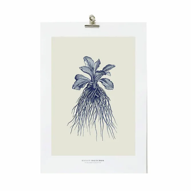 Affiches Et Reproductions<Boutiques de musées Décoration murale Herbier du roi A3 - Bleue - Maison Baluchon