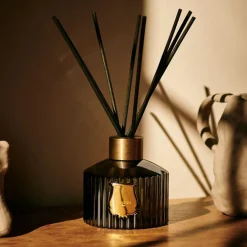 Boutiques de musées Diffuseur 350 ml Ernesto - Trudon Online