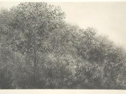 Créations Contemporaines<Boutiques de musées Estampe Allant vers les roches noires - Bertrand Henry 2001