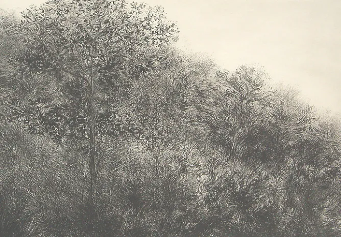 Créations Contemporaines<Boutiques de musées Estampe Allant vers les roches noires - Bertrand Henry 2001