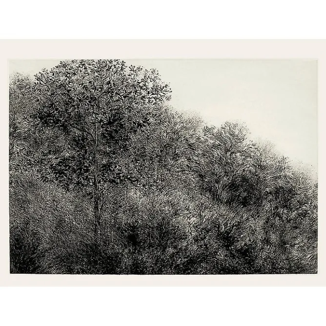 Créations Contemporaines<Boutiques de musées Estampe Allant vers les roches noires - Bertrand Henry 2001