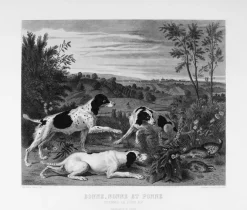 Chefs D'Œuvre Des Musées<Boutiques de musées Estampe Bonne, Nonne et Ponne, chiennes de la meute de Louis XIV - François Desportes