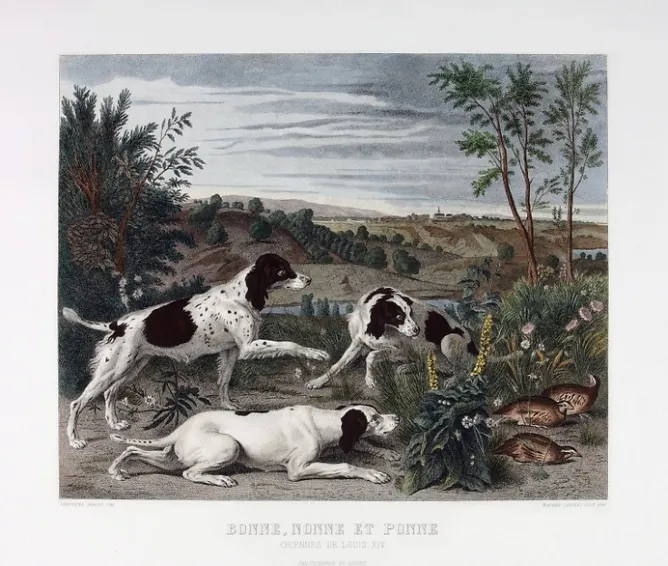 Chefs D'Œuvre Des Musées<Boutiques de musées Estampe Bonne, Nonne et Ponne, chiennes de la meute de Louis XIV - François Desportes