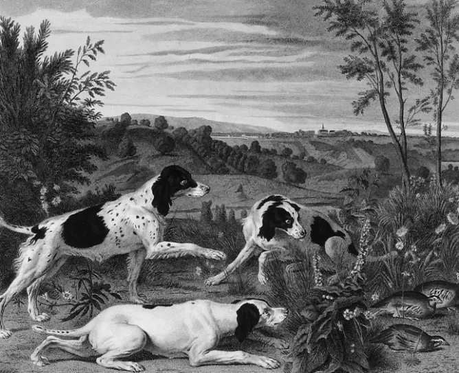 Chefs D'Œuvre Des Musées<Boutiques de musées Estampe Bonne, Nonne et Ponne, chiennes de la meute de Louis XIV - François Desportes