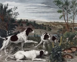 Chefs D'Œuvre Des Musées<Boutiques de musées Estampe Bonne, Nonne et Ponne, chiennes de la meute de Louis XIV - François Desportes