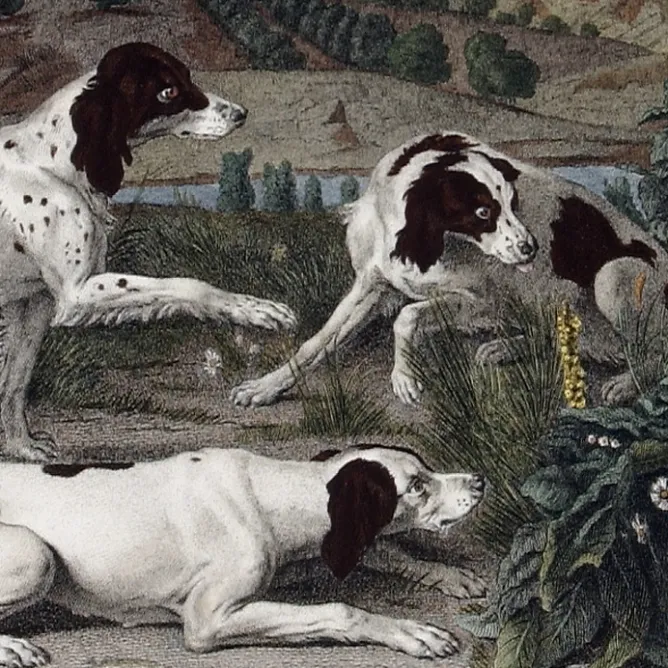 Chefs D'Œuvre Des Musées<Boutiques de musées Estampe Bonne, Nonne et Ponne, chiennes de la meute de Louis XIV - François Desportes