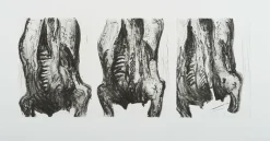 Boutiques de musées Estampe Carcasses - Philippe Cognée Clearance