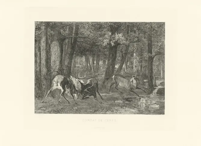 Boutiques de musées Estampe Combat de cerfs - Gustave Courbet Clearance