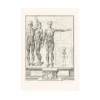 Nu<Boutiques de musées Estampe Corps Humain (Proportions)
