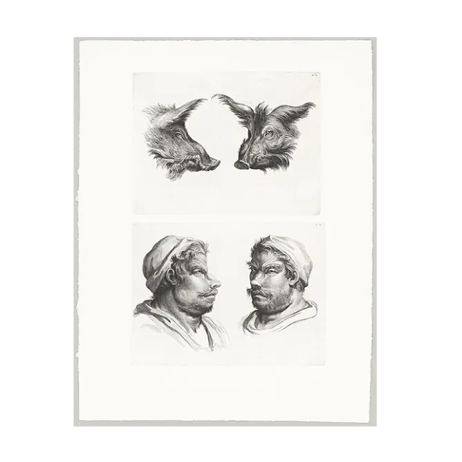 Boutiques de musées Estampe Deux têtes de sanglier et deux têtes d'hommes New