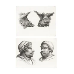 Boutiques de musées Estampe Deux têtes de sanglier et deux têtes d'hommes New