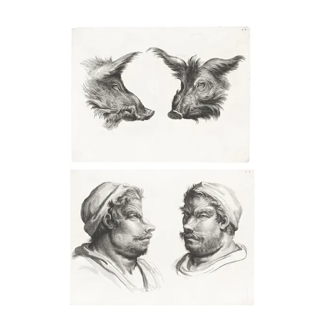 Boutiques de musées Estampe Deux têtes de sanglier et deux têtes d'hommes New
