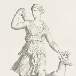 Dessins<Boutiques de musées Estampe Diane chasseresse