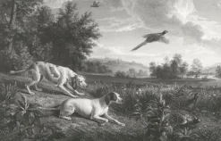 Boutiques de musées Estampe Diane et Blonde, chiennes de Louis XIV, chassant le faisan - François Desportes Discount