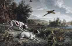 Boutiques de musées Estampe Diane et Blonde, chiennes de Louis XIV, chassant le faisan - François Desportes Discount