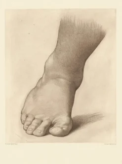 Dessins|Chefs D'Œuvre Des Musées<Boutiques de musées Estampe Etude pour le pied droit du Saint Jean Baptiste dans le désert - Raphaël