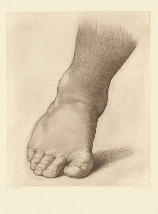 Dessins|Chefs D'Œuvre Des Musées<Boutiques de musées Estampe Etude pour le pied droit du Saint Jean Baptiste dans le désert - Raphaël