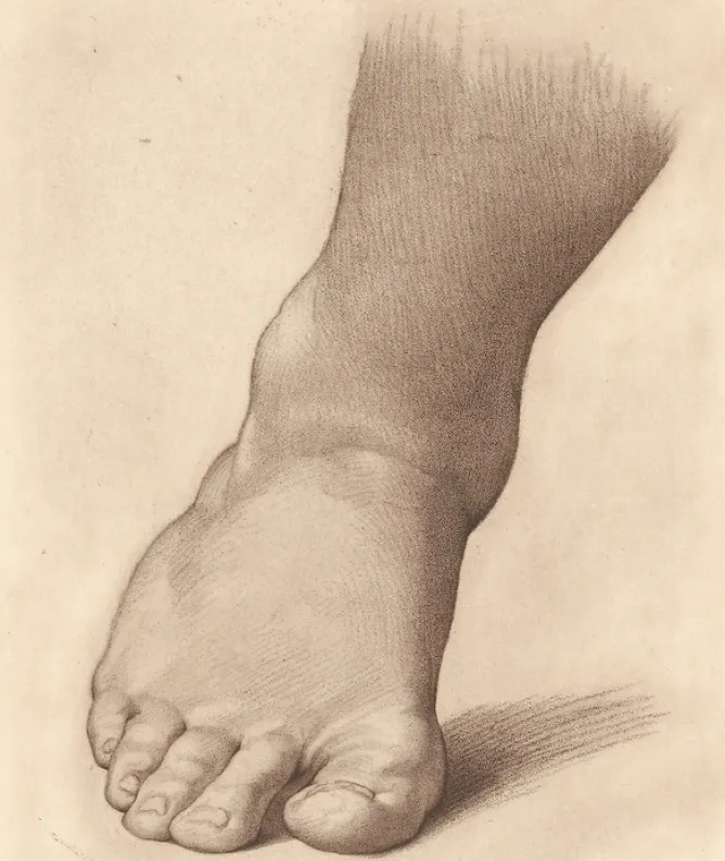 Dessins|Chefs D'Œuvre Des Musées<Boutiques de musées Estampe Etude pour le pied droit du Saint Jean Baptiste dans le désert - Raphaël