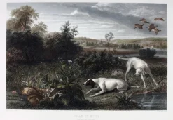 Boutiques de musées Estampe Folle et Mitte, chiennes de Louis XIV, à l'arrêt devant deux faisans - François Desportes Online