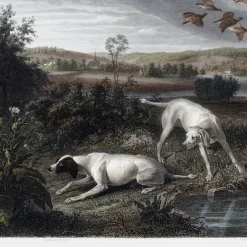 Boutiques de musées Estampe Folle et Mitte, chiennes de Louis XIV, à l'arrêt devant deux faisans - François Desportes Online