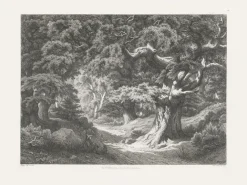 Nature, Fleurs Et Paysages|Chefs D'Œuvre Des Musées<Boutiques de musées Estampe Forêt de Fontainebleau : le Charlemagne et le Roland - Eugène Bléry