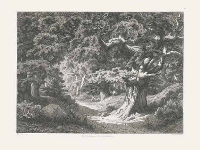 Nature, Fleurs Et Paysages|Chefs D'Œuvre Des Musées<Boutiques de musées Estampe Forêt de Fontainebleau : le Charlemagne et le Roland - Eugène Bléry