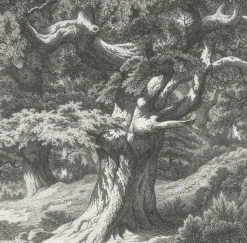 Nature, Fleurs Et Paysages|Chefs D'Œuvre Des Musées<Boutiques de musées Estampe Forêt de Fontainebleau : le Charlemagne et le Roland - Eugène Bléry