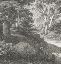 Nature, Fleurs Et Paysages|Chefs D'Œuvre Des Musées<Boutiques de musées Estampe Forêt de Fontainebleau : le Charlemagne et le Roland - Eugène Bléry
