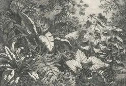 Boutiques de musées Estampe Groupe de plantes exotiques Best