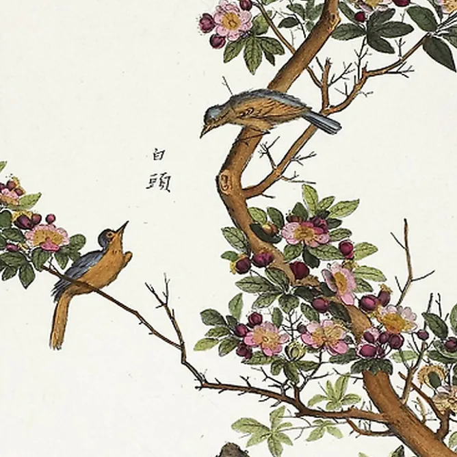 Nature, Fleurs Et Paysages<Boutiques de musées Estampe Plante chinoise - Aubépine