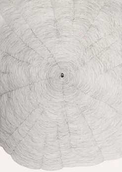 Boutiques de musées Estampe Propagazione - Giuseppe Penone 2009