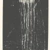 Boutiques de musées Estampe The dragon king's daughter waterfall - Pat Steir Sale