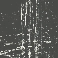 Boutiques de musées Estampe The dragon king's daughter waterfall - Pat Steir Sale