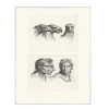 Dessins<Boutiques de musées Estampe Trois têtes d'aigle et trois têtes d'hommes en relation avec l'aigle