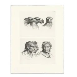 Dessins<Boutiques de musées Estampe Trois têtes d'aigle et trois têtes d'hommes en relation avec l'aigle