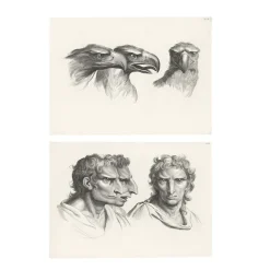 Dessins<Boutiques de musées Estampe Trois têtes d'aigle et trois têtes d'hommes en relation avec l'aigle
