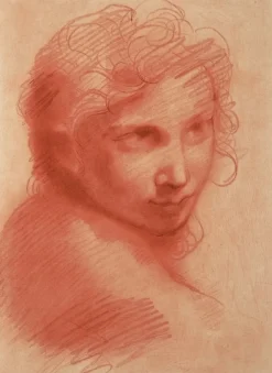 Dessins<Boutiques de musées Estampe Tête de jeune homme - Michelangelo Anselmi