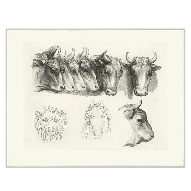 Boutiques de musées Estampe Têtes de bœufs, de lion et de cheval Clearance