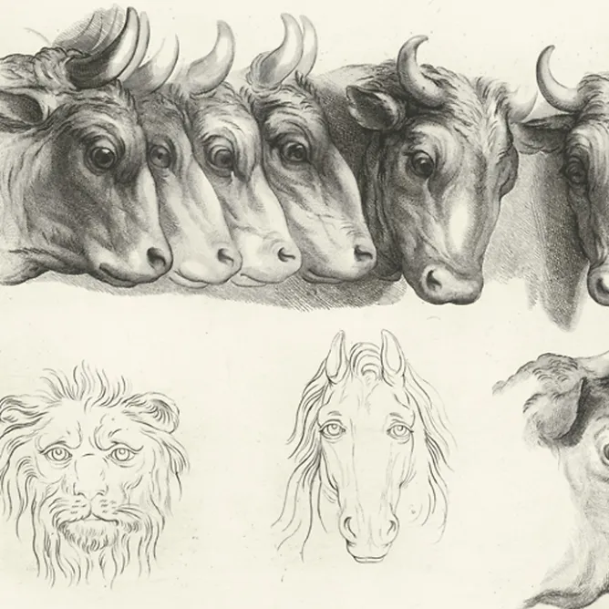 Boutiques de musées Estampe Têtes de bœufs, de lion et de cheval Clearance
