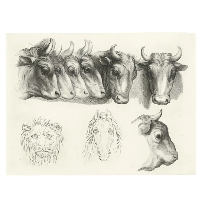 Boutiques de musées Estampe Têtes de bœufs, de lion et de cheval Clearance