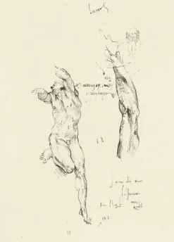 Boutiques de musées Estampe Étude d'homme nu et étude de bras - Michel-Ange Hot